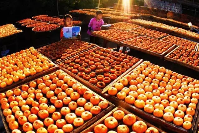 恭城红岩村晒柿子、社山村&勾蓝瑶寨瑶族风情4天摄影团（带您走进水墨画中的乡村）