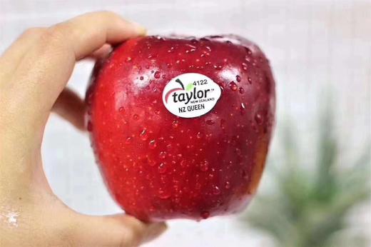 新西兰红玫瑰 商品图0