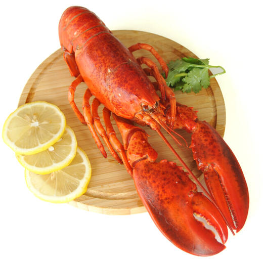 熟冻波士顿龙虾 - 鲜果时刻生鲜
