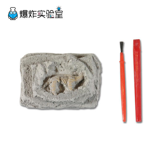 考古恐龙化石挖掘 商品图4