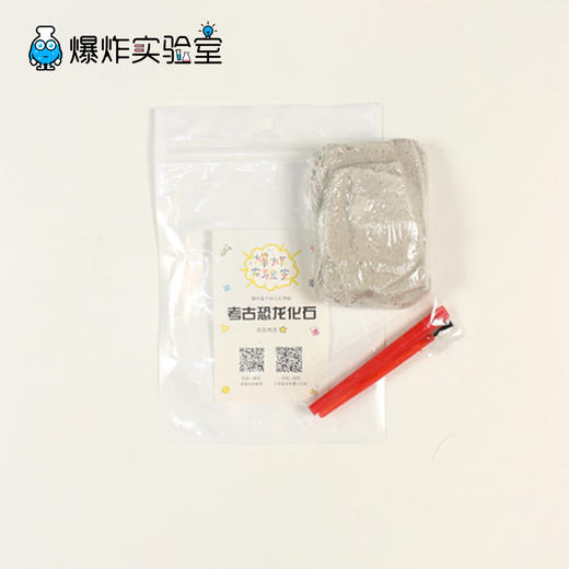 考古恐龙化石挖掘 商品图3