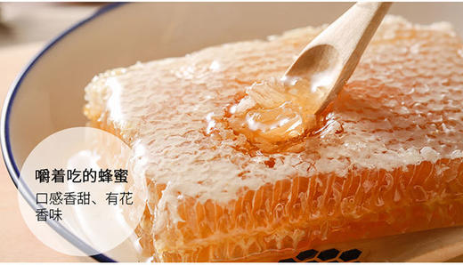 小诸葛 商品图0