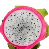 白心火龙果 大号单颗 商品缩略图0