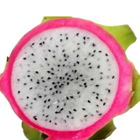 白心火龙果 大号单颗