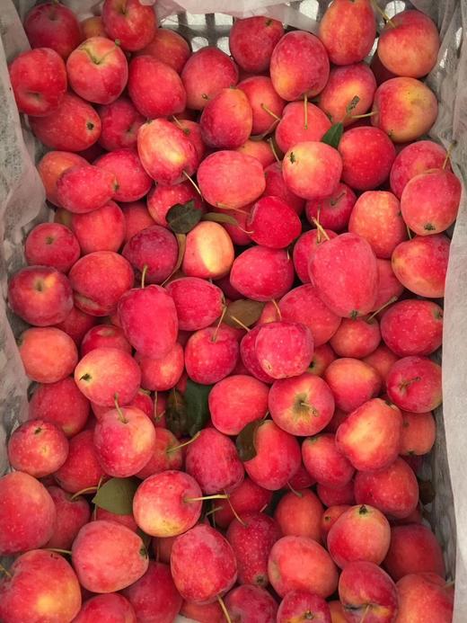 小苹果 商品图2