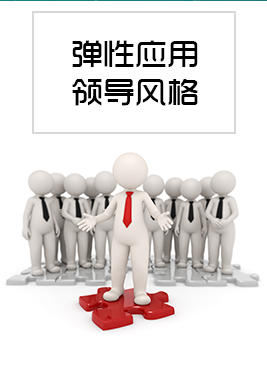 03期：弹性应用领导风格 商品图0