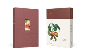 水果笔记本系列