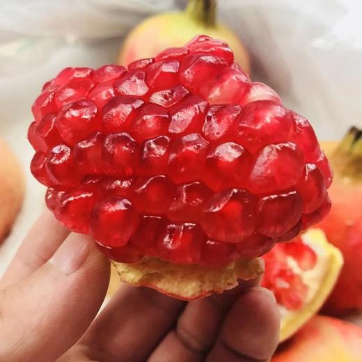软籽石榴 商品图0
