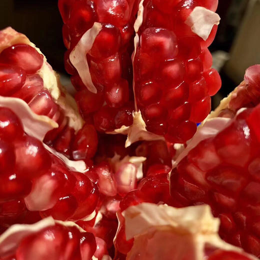 软籽石榴 商品图1
