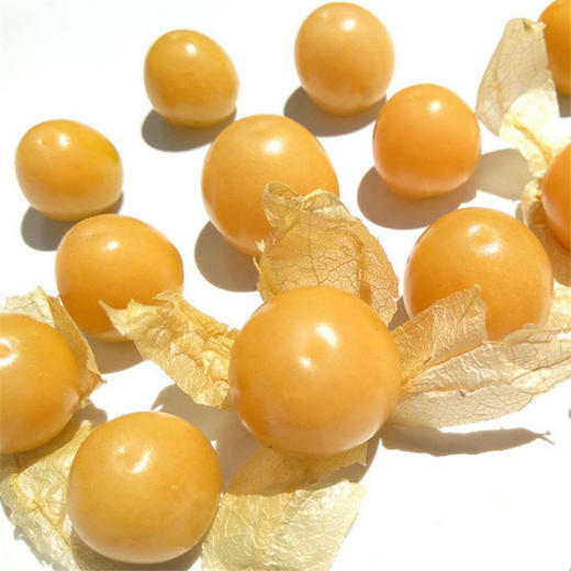 东北姑娘果1盒 灯笼果 商品图1