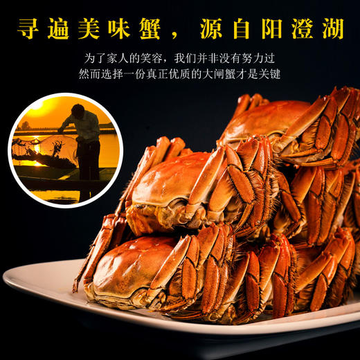 阳澄湖蟹业协会认证防伪丨阳澄湖大闸蟹（蟹卡） 商品图1