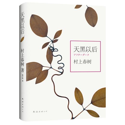 村上春树：天黑以后 商品图2