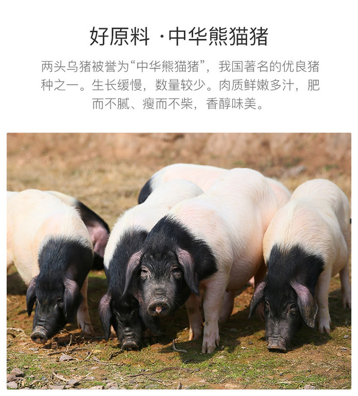 金字香肠金华两头乌香肠320g鲜肉制作肉质饱满中华熊猫猪