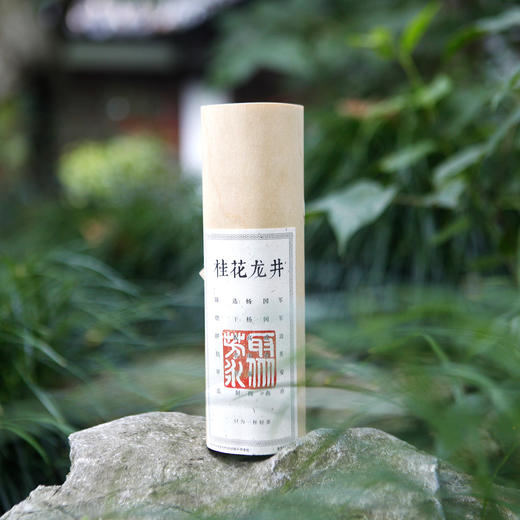 桂花龙井 50g桦木皮筒装 商品图2