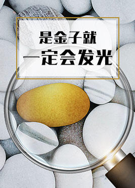 课时06：是金子就一定会发光