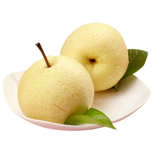 顶端蒲城酥梨12枚装