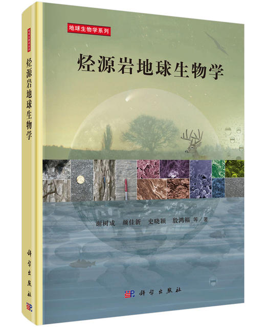 烃源岩地球生物学 商品图0