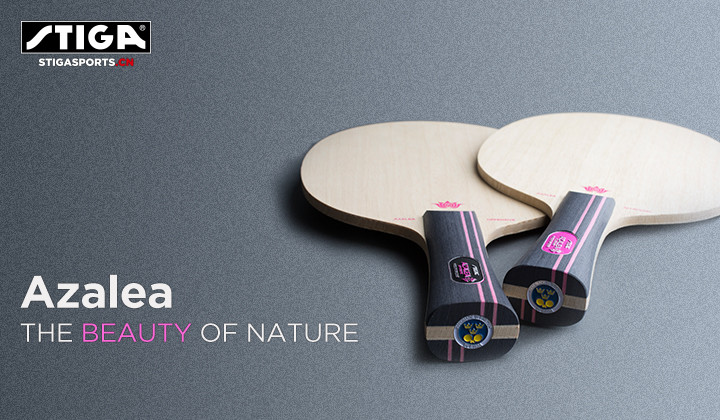 1536827742105819.jpg Azalea-玫瑰-banner-2-720-420px.jpg