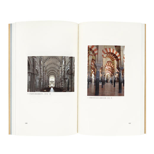 《修道圣所》王南“建筑史诗”系列，中世纪罗曼建筑巡礼 商品图4