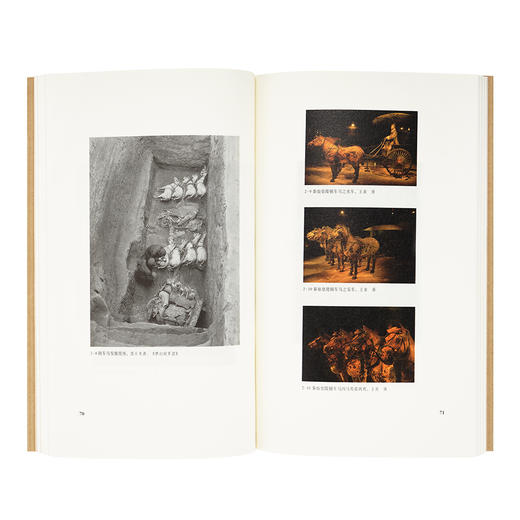 《汉家陵阙》王南“建筑史诗”系列，大汉风骨，探秘中国古建高峰期 商品图3