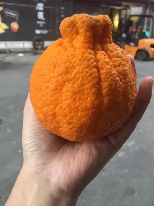 丑橘 商品图0
