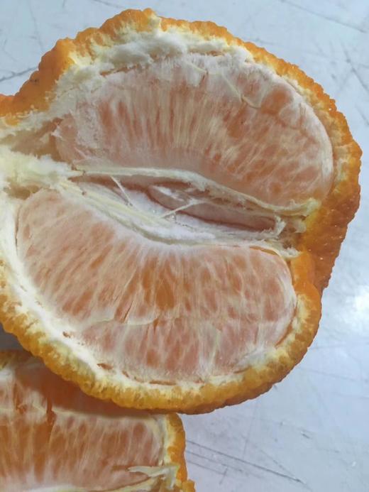 丑橘 商品图1