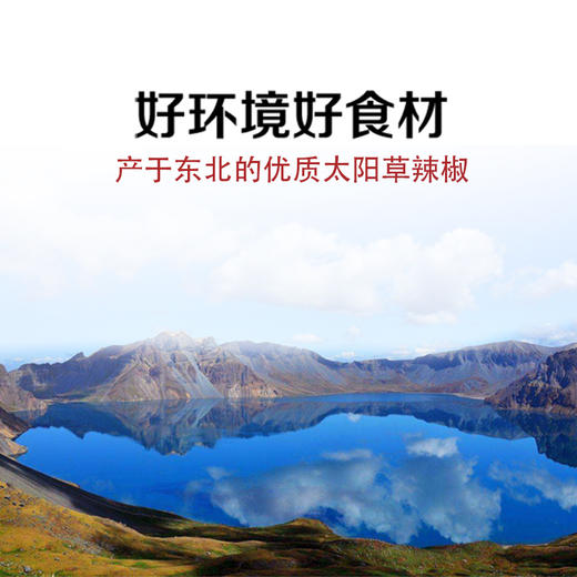 延边朝鲜族手工辣椒面500克每袋 商品图5