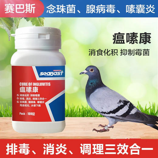 赛巴斯【瘟嗉康】100片,赛鸽消食积食霉菌腺病毒嗉囊炎甩食呕吐鸽子药