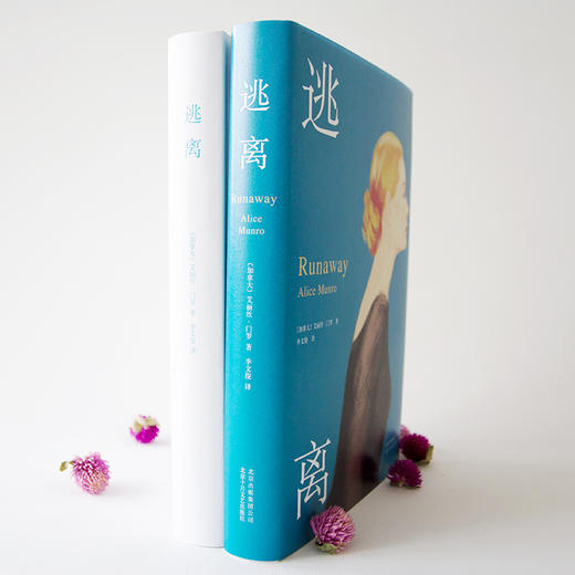 【新经典】艾丽丝·门罗：逃离 商品图2