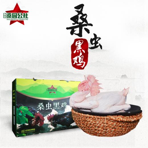 【桑园公社】 桑园好品大礼包 商品图2