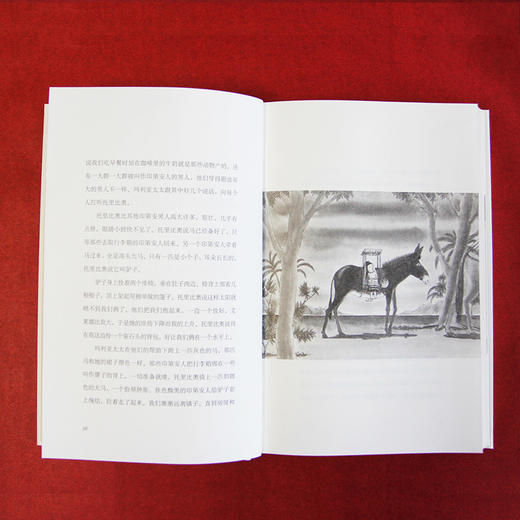 我在秘密生长 商品图3