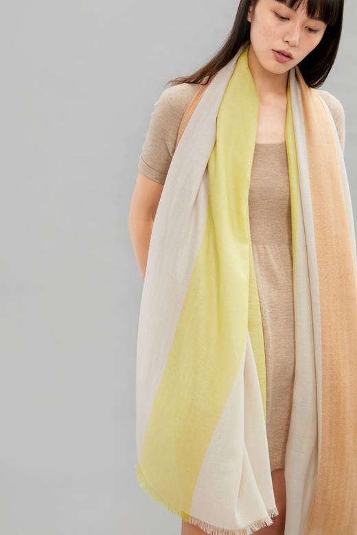 爱玛大款 商品图1