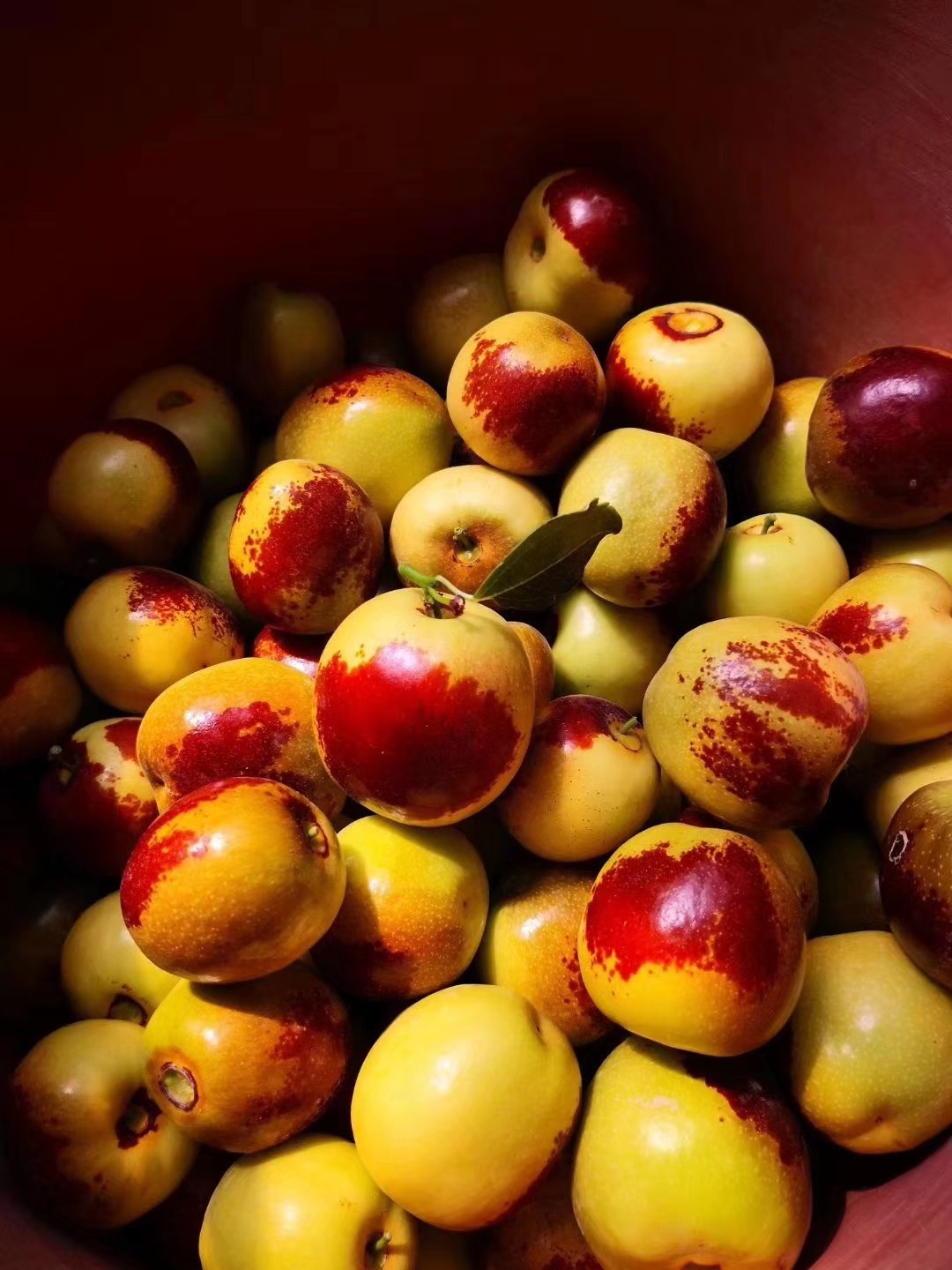 空运新疆库尔勒冬枣～非一般的冬枣,没有甜蜜素和泡糖水