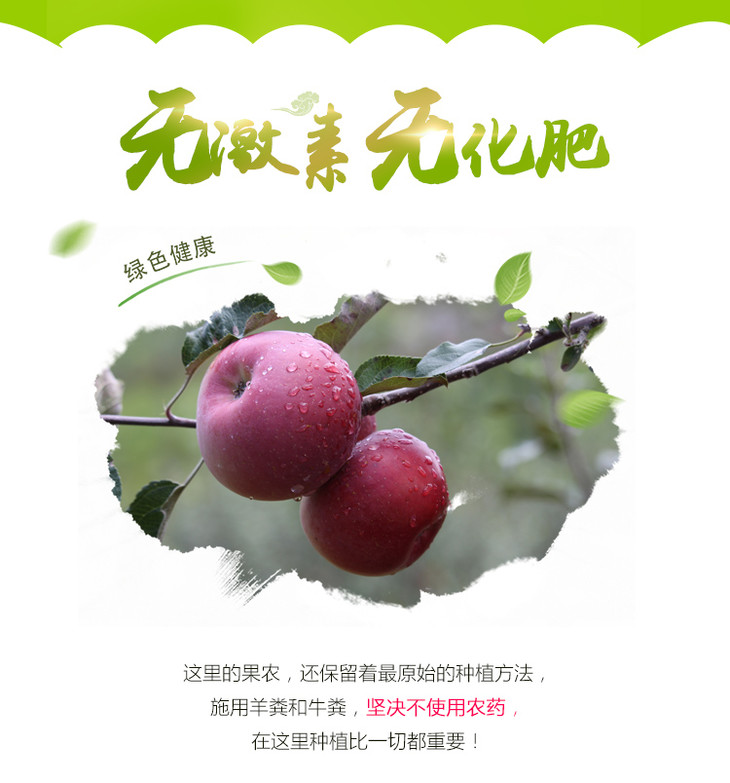 凉山采购肥料网站有哪些_凉山州土肥站