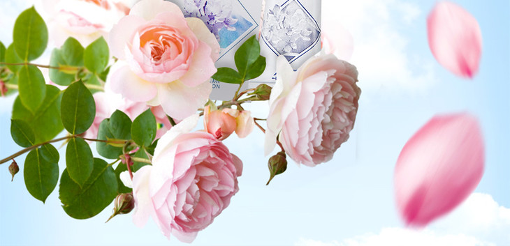 人人康千白氢醌乳膏10g1支盒