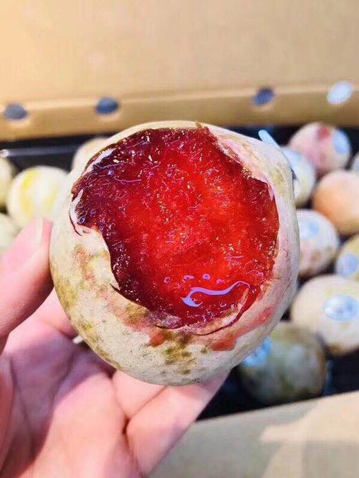 【恐龙蛋】每年推荐,巅峰口感！味道浓郁！ 超级新鲜！特好吃！肉厚多汁！ 商品图1