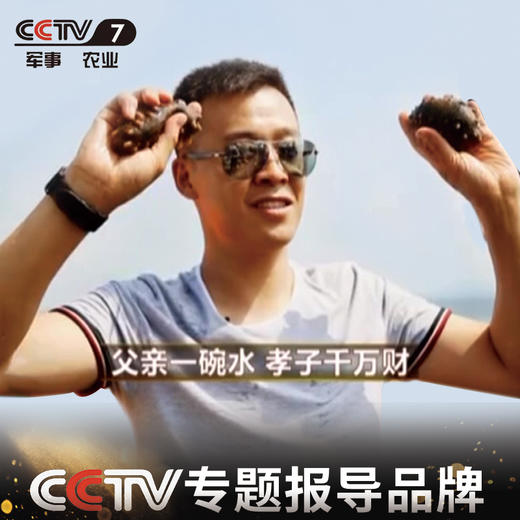 【即食海参】广参堂-福参九九 81头海参  带您体验大连海参的营养之道 商品图6