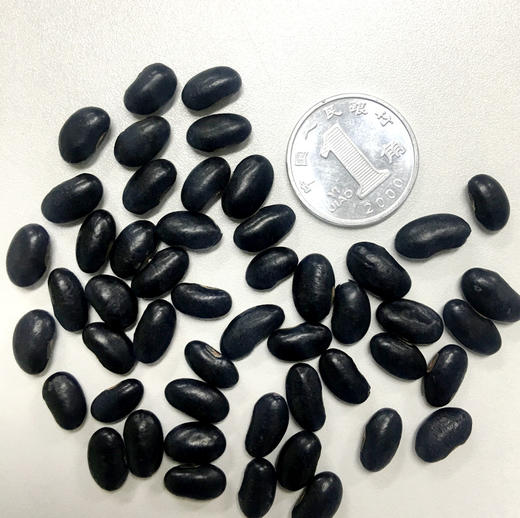 肾形黄心小黑豆360g袋