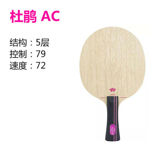STIGA斯帝卡 杜鹃AC/OC 乒乓球板 国球汇 商品图2