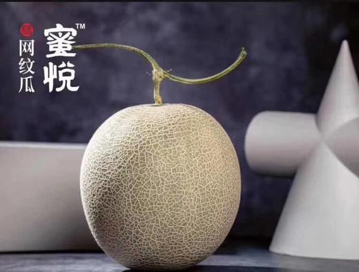 牛三蜜瓜 商品图0