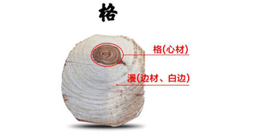 了解这些名词，带你步入海黄殿堂！ 商品图0