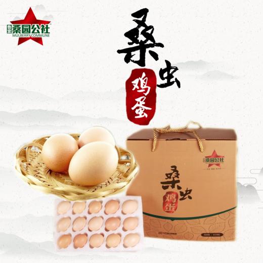 【桑园公社】桑虫鸡蛋 商品图0