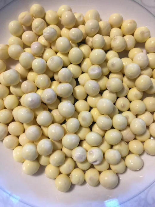 正宗苏州南荡黄种鲜冻鸡头米！鲜嫩软糯Q弹，纯手工选籽剥籽，下单赠送桂花干 商品图4