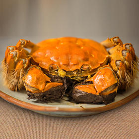 【阳澄不等】 2025
正宗阳澄湖大闸蟹 米其林餐厅之选 蟹卡现货/实物现货