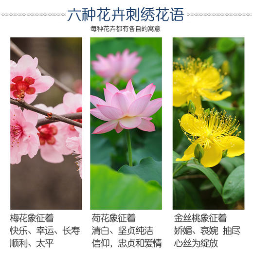 【清仓】传统刺绣挂画 diy手工制作绣花材料包 创意居家装饰 商品图4