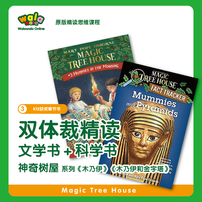 《三阶-3》【神奇树屋】精读，同步培养文学想象和科学思维！