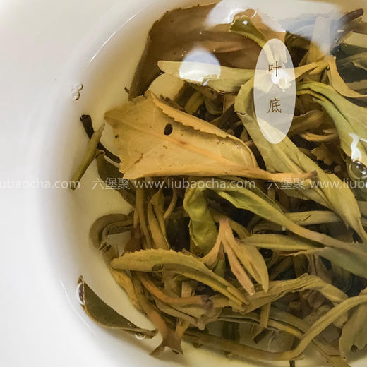 2014年 原种六堡四柳秋茶（200g/罐、500g/罐）六堡聚私房茶 商品图4