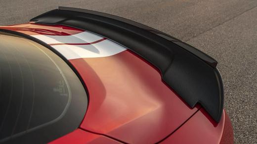 轩尼斯野马拉花（颜色可实际个性定制，默认白色，邮费到付） 商品图2