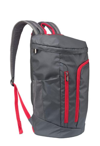 奥迪境界双肩背包 商品图1