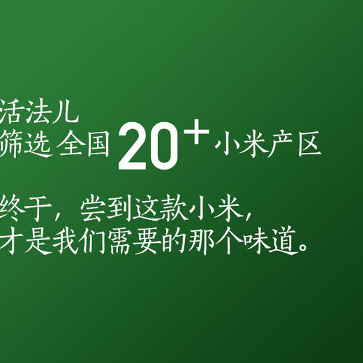 *自营*珍珠黄小米3大袋。米油多很好吃。 陕西米脂县小米。 商品图1